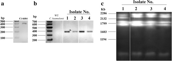 Fig. 8