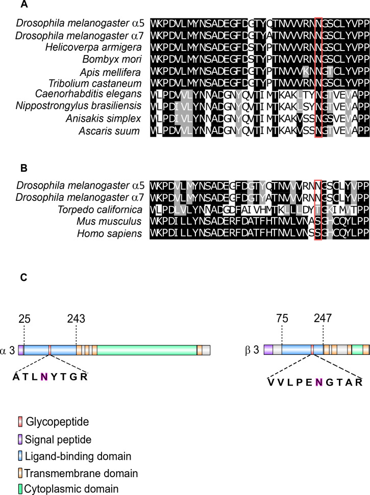 Figure 6—figure supplement 2.