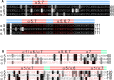 Figure 5—figure supplement 2.