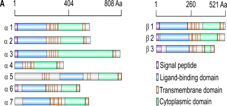 Figure 5—figure supplement 1.