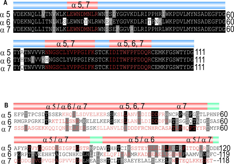 Figure 5—figure supplement 2.