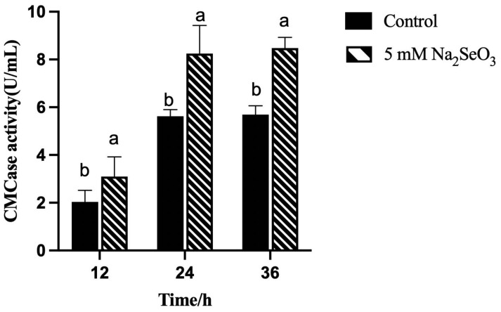 Figure 12