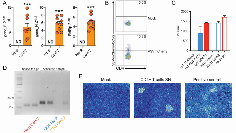 Figure 1—figure supplement 4.