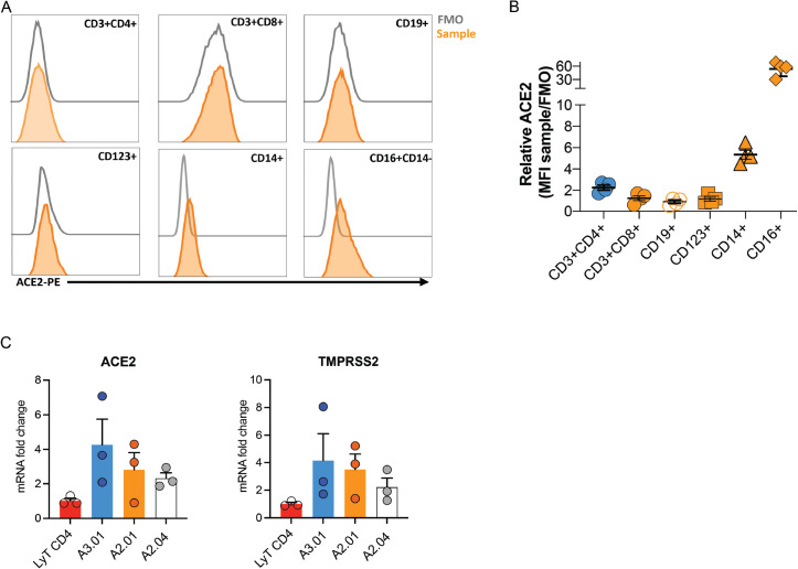 Figure 1—figure supplement 2.