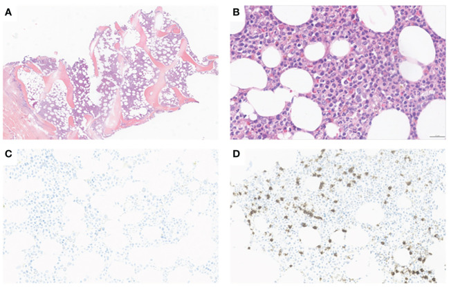 Figure 2