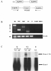 Figure  3.