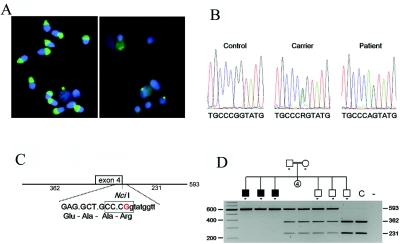 Figure  1. 