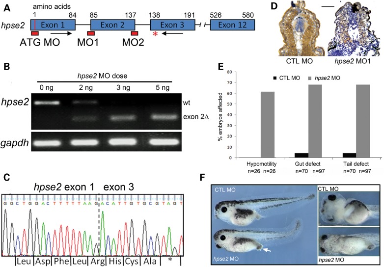 Figure 4.