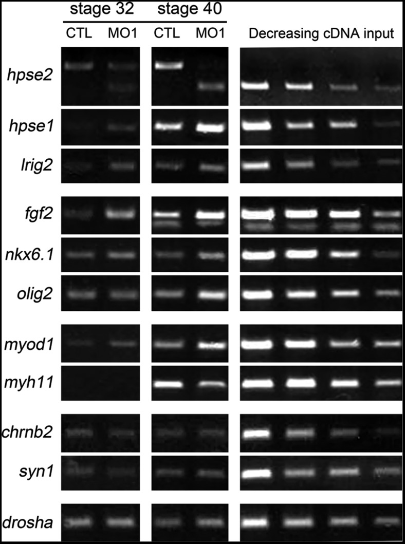 Figure 6.