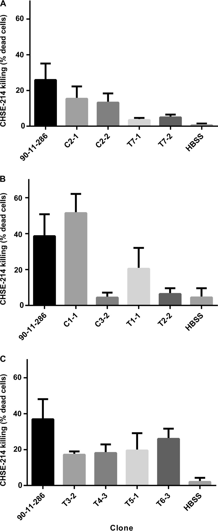 FIG 2