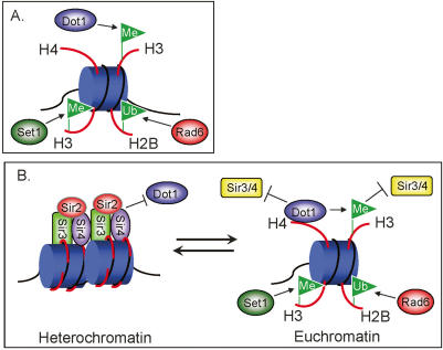 Figure 7.