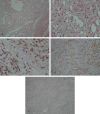Figure2