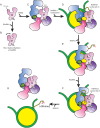 FIGURE 10.