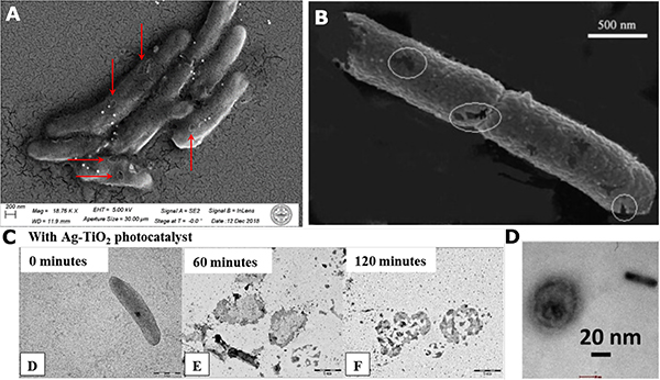 Figure 11.