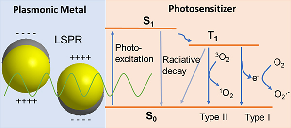 Figure 7.