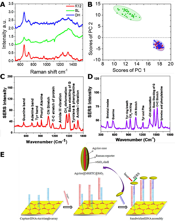 Figure 15.