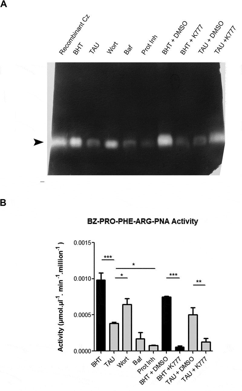 Figure 6.