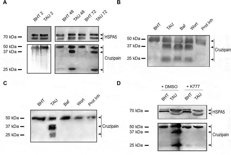 Figure 5.