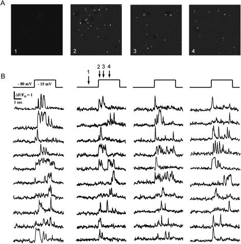 FIGURE 3