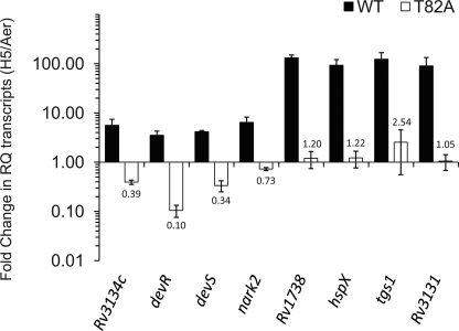 Fig. 3.