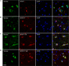 FIGURE 10.