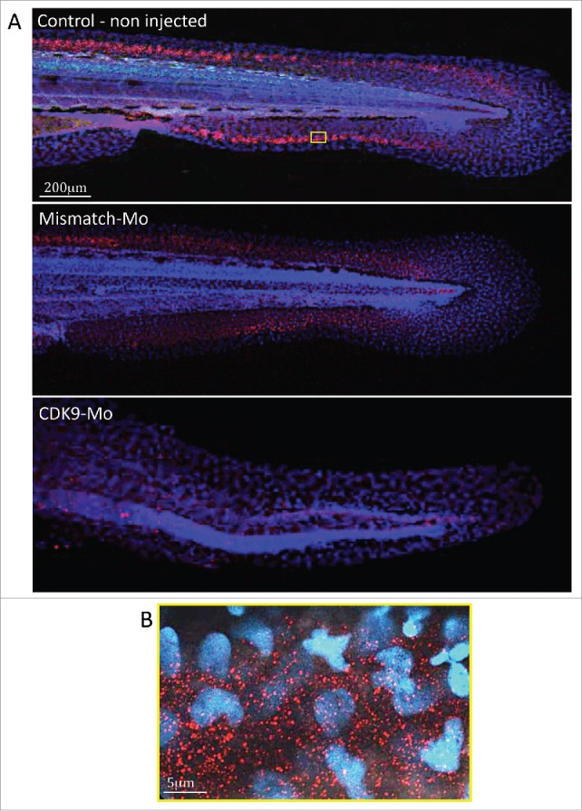 Figure 6.