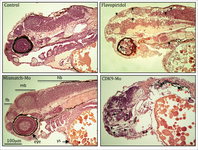 Figure 3.