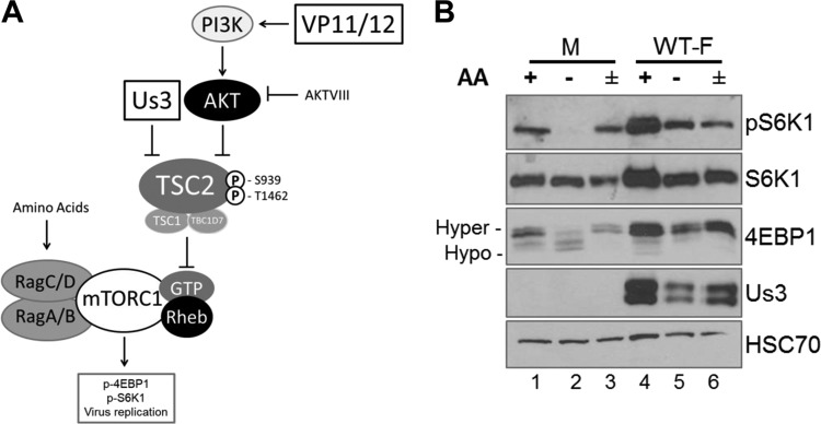 FIG 1