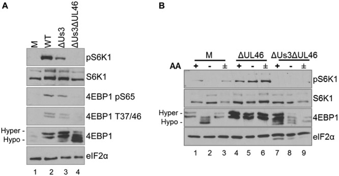 FIG 4