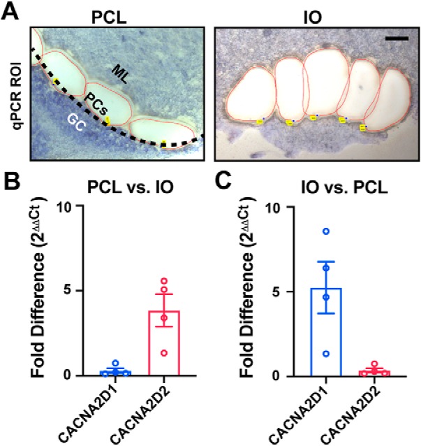 Figure 9.