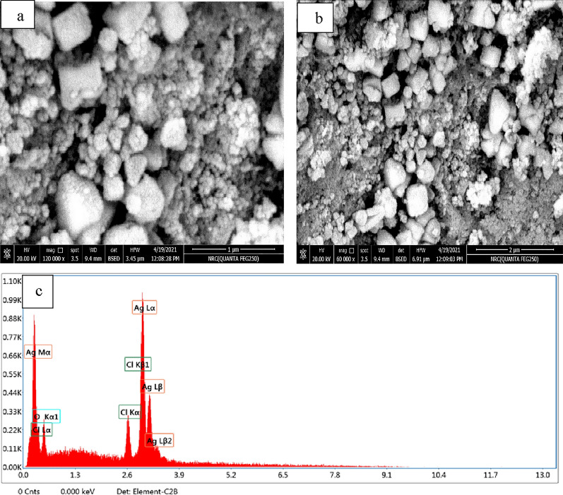 Fig. 14
