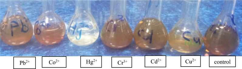 Fig. 17