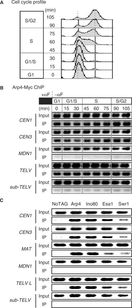 Figure 4.