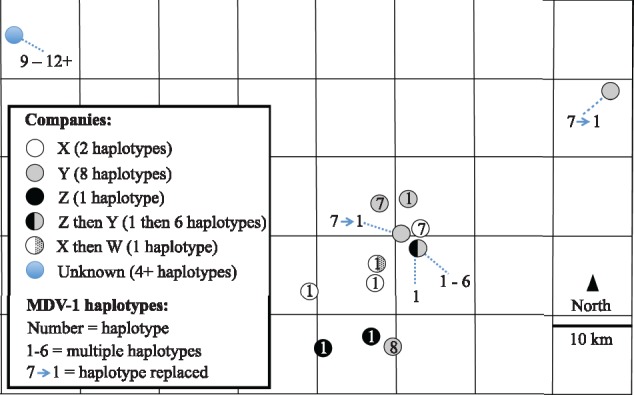 Figure 5.