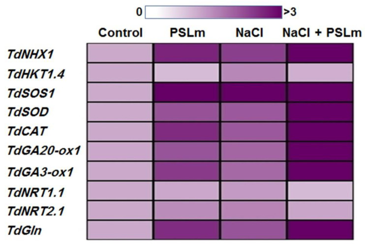 Figure 5