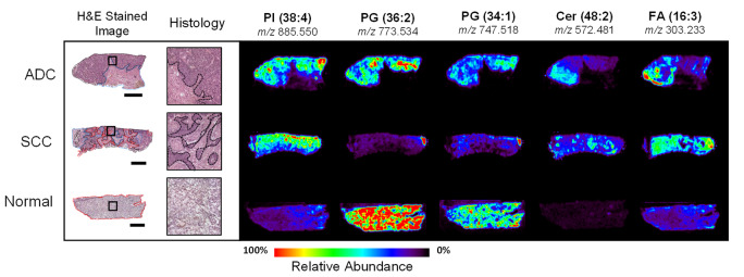 Fig. 3