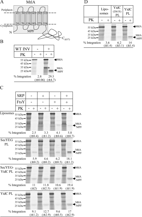 FIGURE 4: