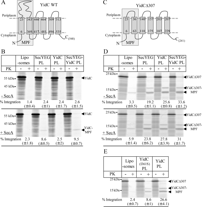 FIGURE 5: