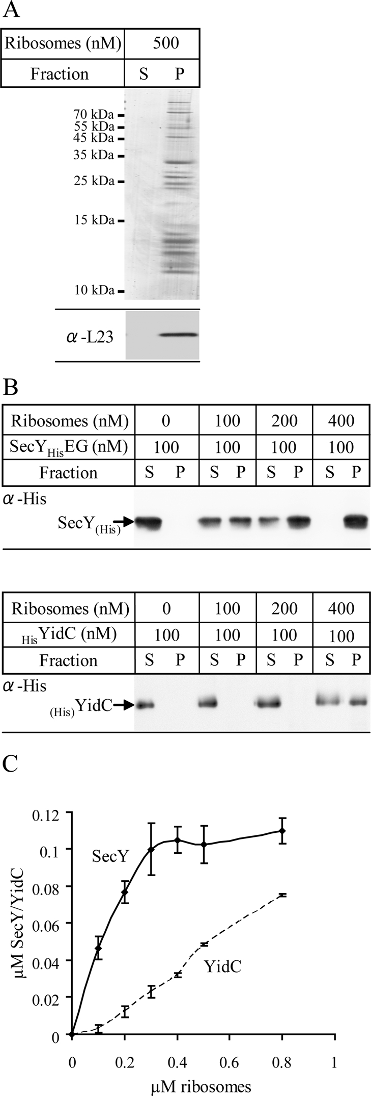 FIGURE 7: