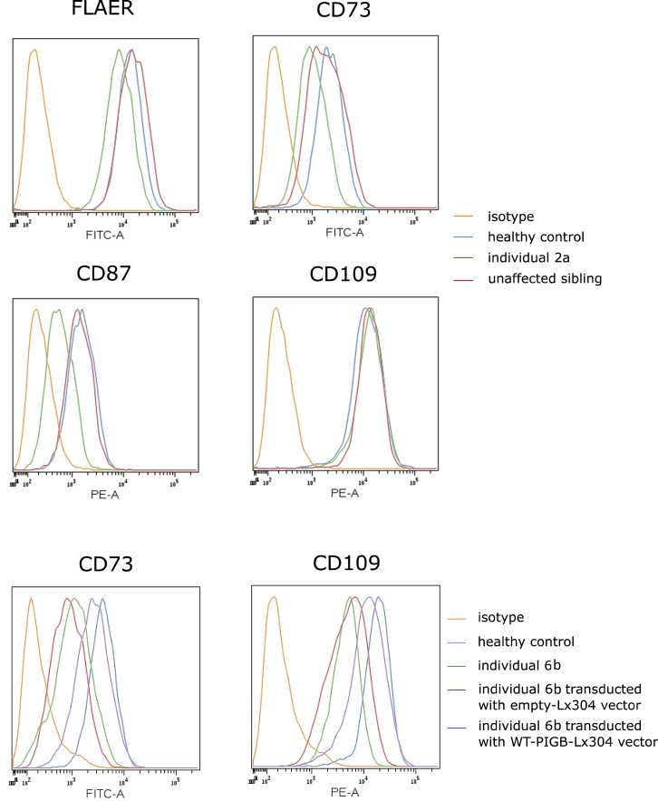 Figure 4