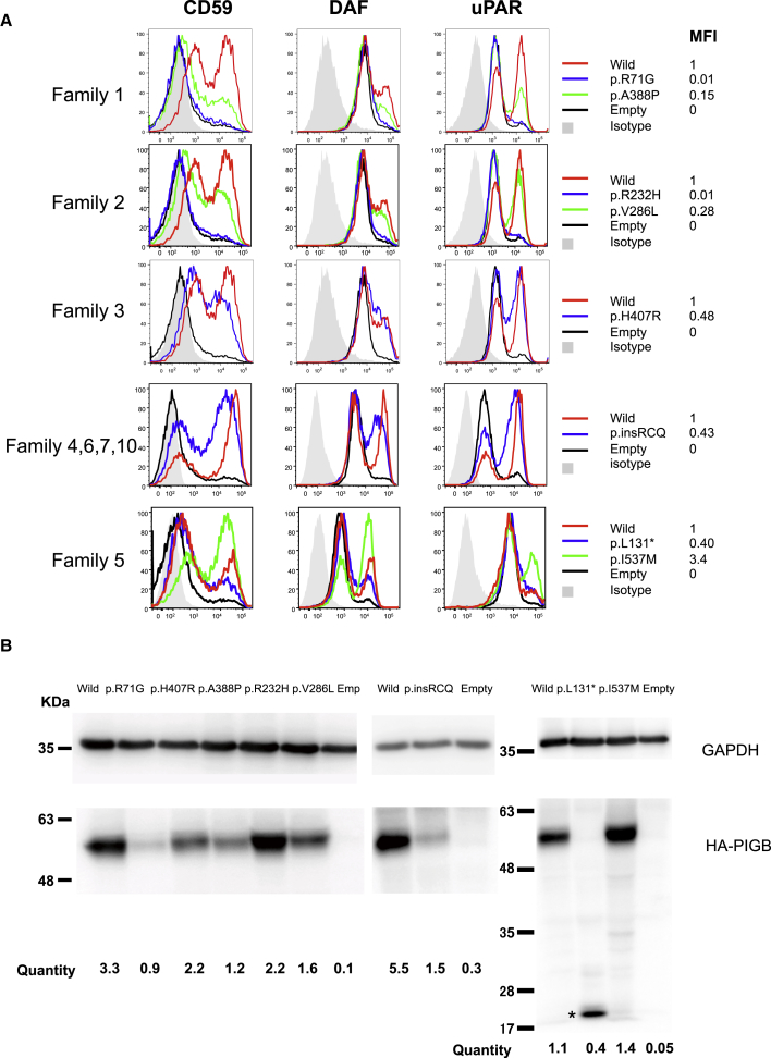 Figure 5