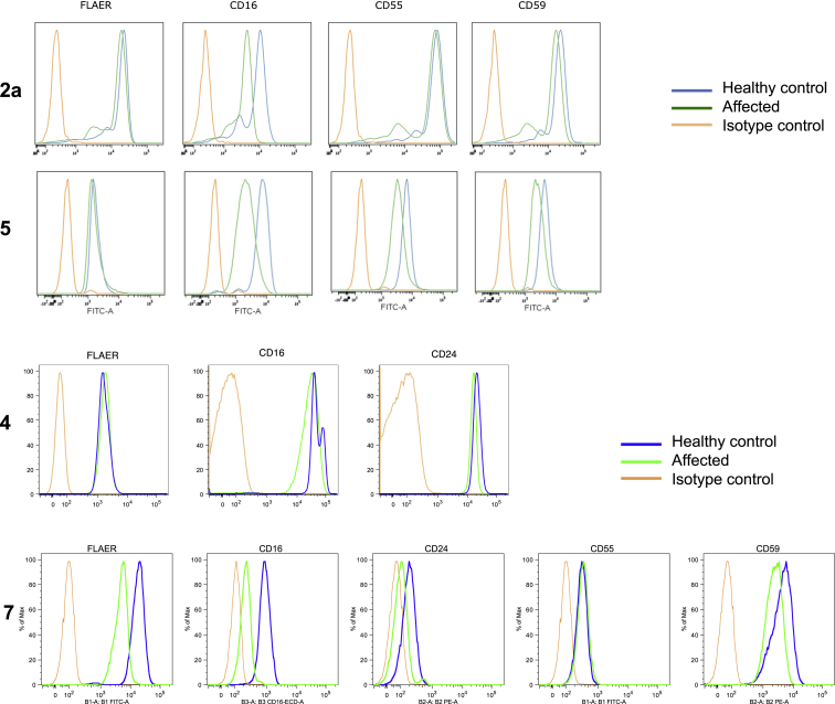 Figure 3