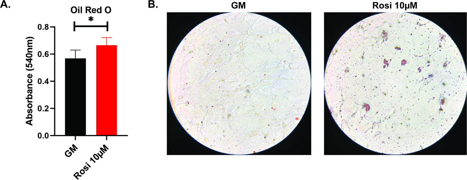 Figure 6A and 6B: