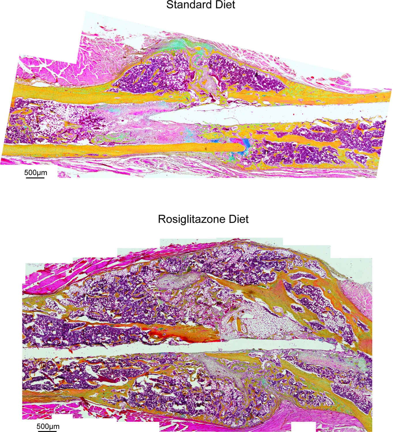 Figure 2: