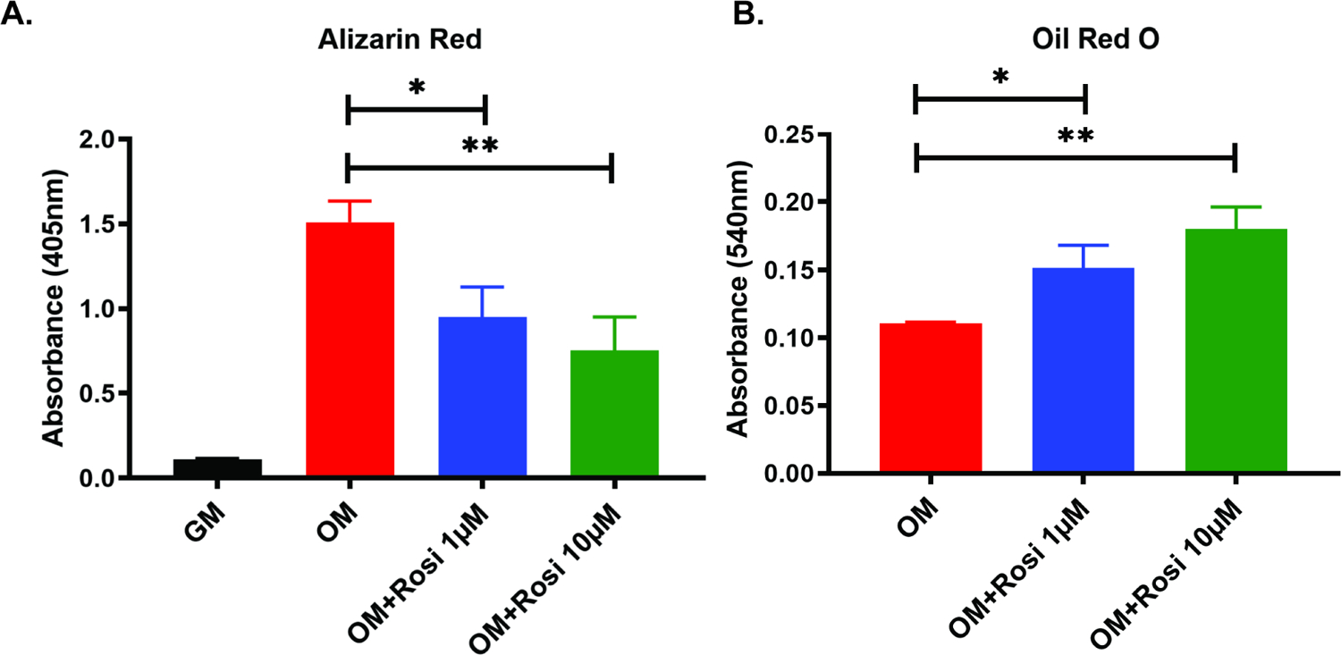 Figure 4A and 4B: