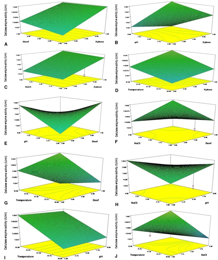 Fig. 3