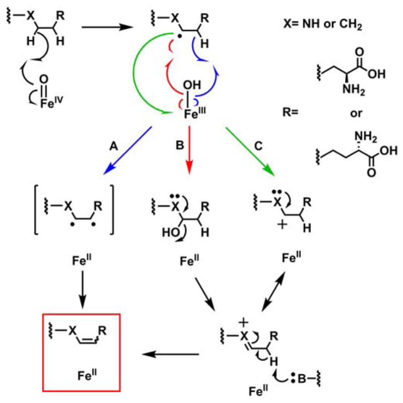 Scheme 3