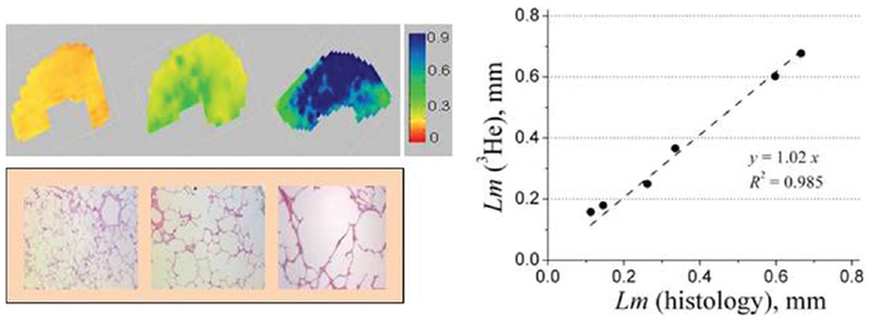 FIG. 8.