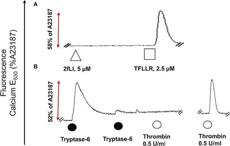 Figure 7