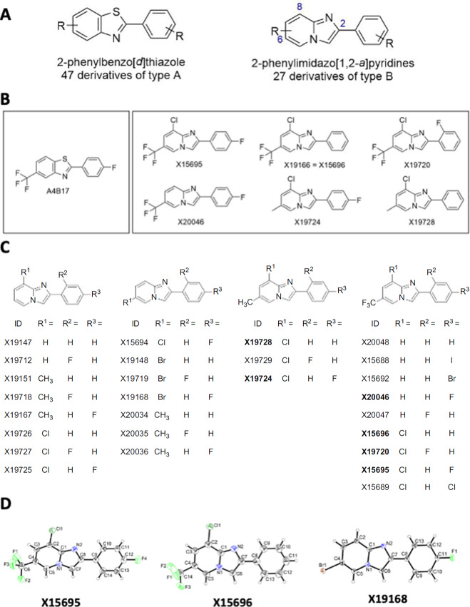 FIGURE 1